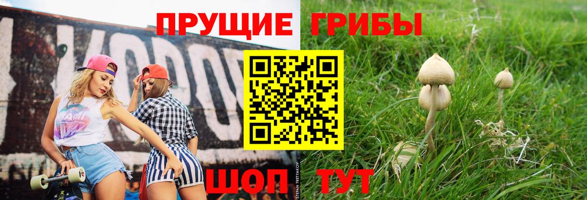 Псилоцибиновые грибы GOLDEN TEACHER Ярославль